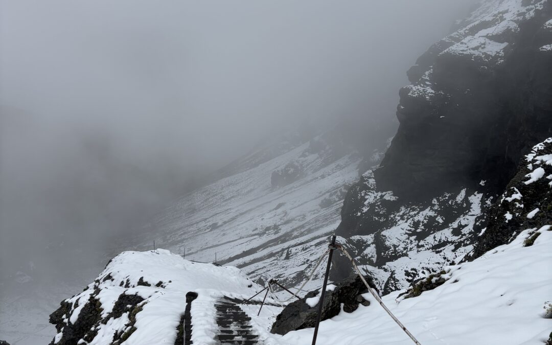 Dem Schnee entgegen